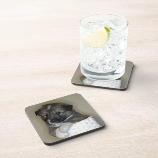 Islandhundwelpe Getränkeuntersetzer (Rechte Seite)