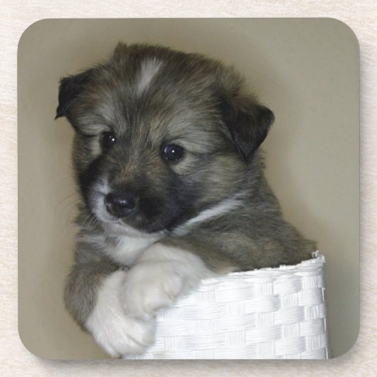 Islandhundwelpe Getränkeuntersetzer (Vorderseite)