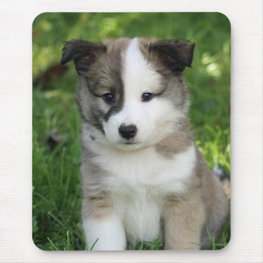 Islandhundwelpe Splitface Mousepad (Vorne)