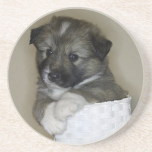 Islandhundwelpe Untersetzer