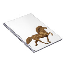 Isländisch der 30er Jahre