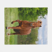 Isländisch Pony bei einem Tölt Funny Foto Horse Li Fleecedecke (Vorderseite (Horizontal))