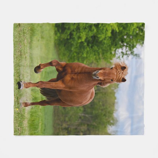 Isländisch Pony bei einem Tölt Funny Foto Horse Li Fleecedecke (Vorderseite (Horizontal))