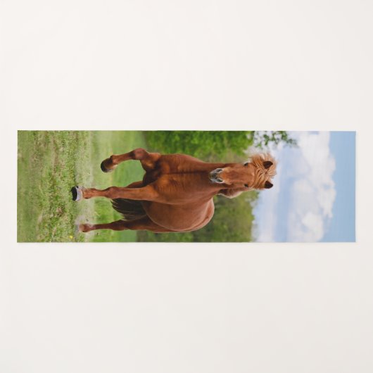 Isländisch Pony bei einem Tölt Funny Foto Horse Li Yogamatte (Vorderseite (Horizontal))
