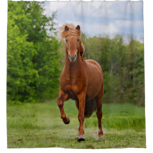 Isländisch Pony Tölt Funny Foto Horse Lovers - Tub Duschvorhang