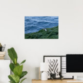 Isländisch Puffin Bird Poster (Heimbüro)