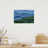 Isländisch Puffin Bird Poster (Küche)