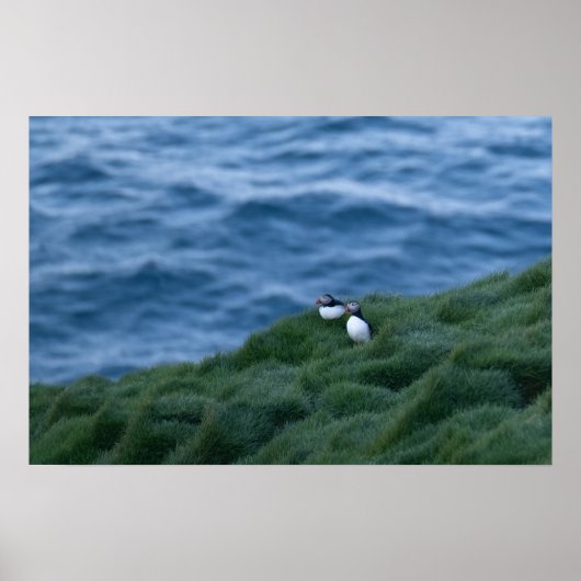 Isländisch Puffin Bird Poster (Vorne)