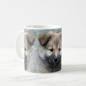 Isländisch Sheepdog 2014-0803 Kaffeetasse (Vorderseite Links)