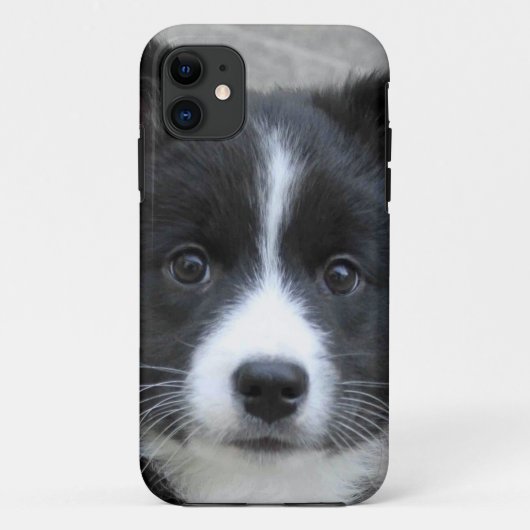 Isländisch Sheepdog 2014-0804 Case-Mate iPhone Hülle (Rückseite)
