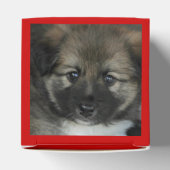 Isländisch Sheepdog 2014-0808 Geschenkschachtel (Oben)