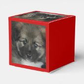 Isländisch Sheepdog 2014-0808 Geschenkschachtel (Rückseite)