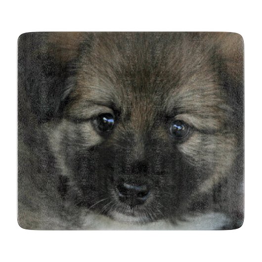 Isländisch Sheepdog 2014-0808 Schneidebrett (Vorderseite)