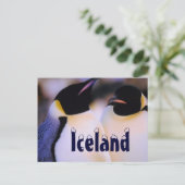Isländische arktische Pinguine Postkarte (Stehend Vorderseite)