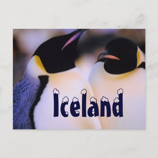 Isländische arktische Pinguine Postkarte (Vorderseite)