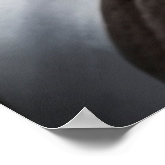 Isländische Frau auf dem Foto von White Horse Poster (Ecke)