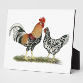 Isländische Hühner Fotoplatte (Seite)