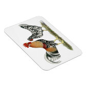 Isländische Hühner Magnet (Rechte Seite)