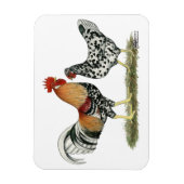 Isländische Hühner Magnet (Vertikal)