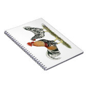 Isländische Hühner Notizblock (Rechte Seite)