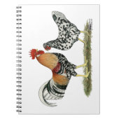 Isländische Hühner Notizblock (Vorderseite)