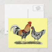 Isländische Hühner Postkarte (Vorne/Hinten)