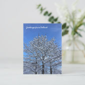 Isländische Landschaft Postkarte (Stehend Vorderseite)