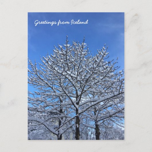 Isländische Landschaft Postkarte (Vorderseite)