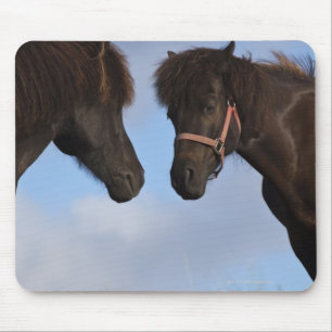 Isländische Pferde, die sich gegenüberstellen Mousepad