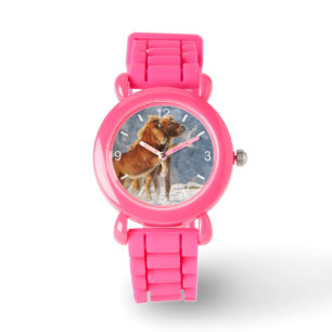 Isländische Pferde-Fohlen-Spiel im sonnigen Foto Armbanduhr