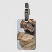 Isländische Pferde Gepäckanhänger (Vorderseite Vertikal)