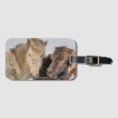 Isländische Pferde Gepäckanhänger (Vorderseite (Horizontal))