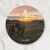 Isländische Pferde - Geschenkanhänger (Vorderseite)