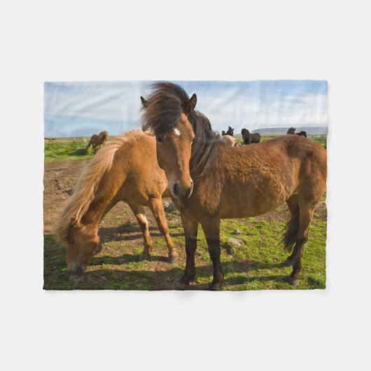 Isländische Pferde Graze Fleecedecke (Vorderseite (Horizontal))