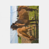 Isländische Pferde Graze Fleecedecke (Vorderseite)