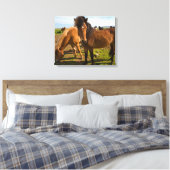 Isländische Pferde Graze Leinwanddruck (Insitu (Schlafzimmer))