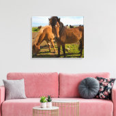 Isländische Pferde Graze Leinwanddruck (Insitu (Wohnzimmer))