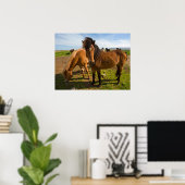 Isländische Pferde Graze Poster (Heimbüro)