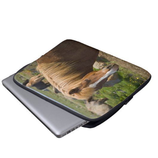 Isländische Pferde im Nordosten Islands Laptopschutzhülle (Vorne Knopf)
