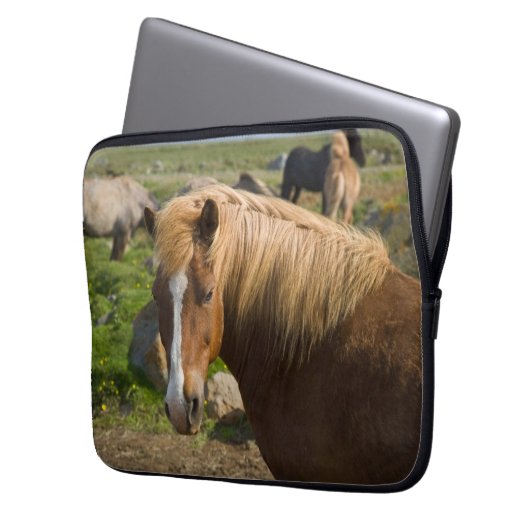 Isländische Pferde im Nordosten Islands Laptopschutzhülle (Vorderseite Links)
