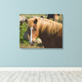 Isländische Pferde im Nordosten Islands Leinwanddruck (Insitu (Holzboden))