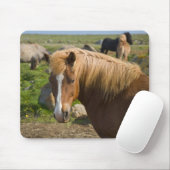 Isländische Pferde im Nordosten Islands Mousepad (Mit Mouse)
