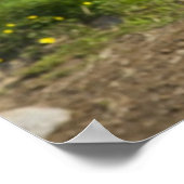 Isländische Pferde im Nordosten Islands Poster (Ecke)