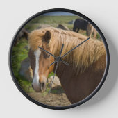 Isländische Pferde im Nordosten Islands Uhr (Vorderseite)