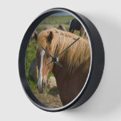 Isländische Pferde im Nordosten Islands Uhr (Winkel)