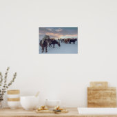 Isländische Pferde im Schnee | Island Foto Poster (Küche)