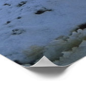 Isländische Pferde im Winter Poster (Ecke)