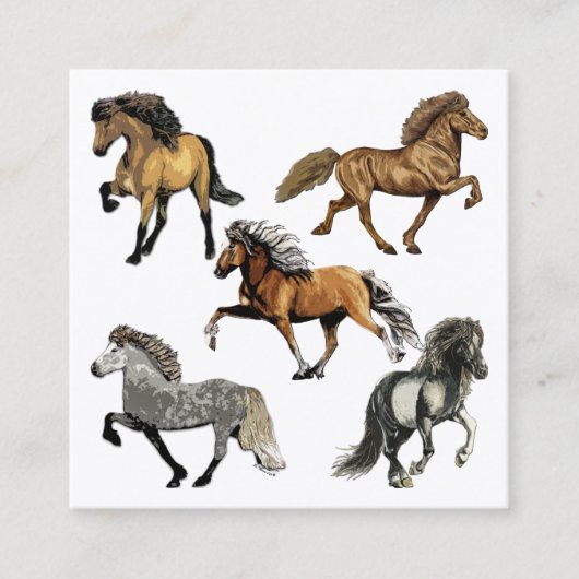 Isländische Pferde in Gait Quadratische Visitenkarte (Vorderseite)