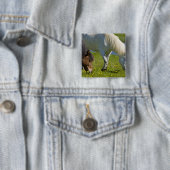 Isländische Pferde in Western Island. Button (Beispiel)