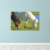 Isländische Pferde in Western Island. Leinwanddruck (Insitu (Holzboden))